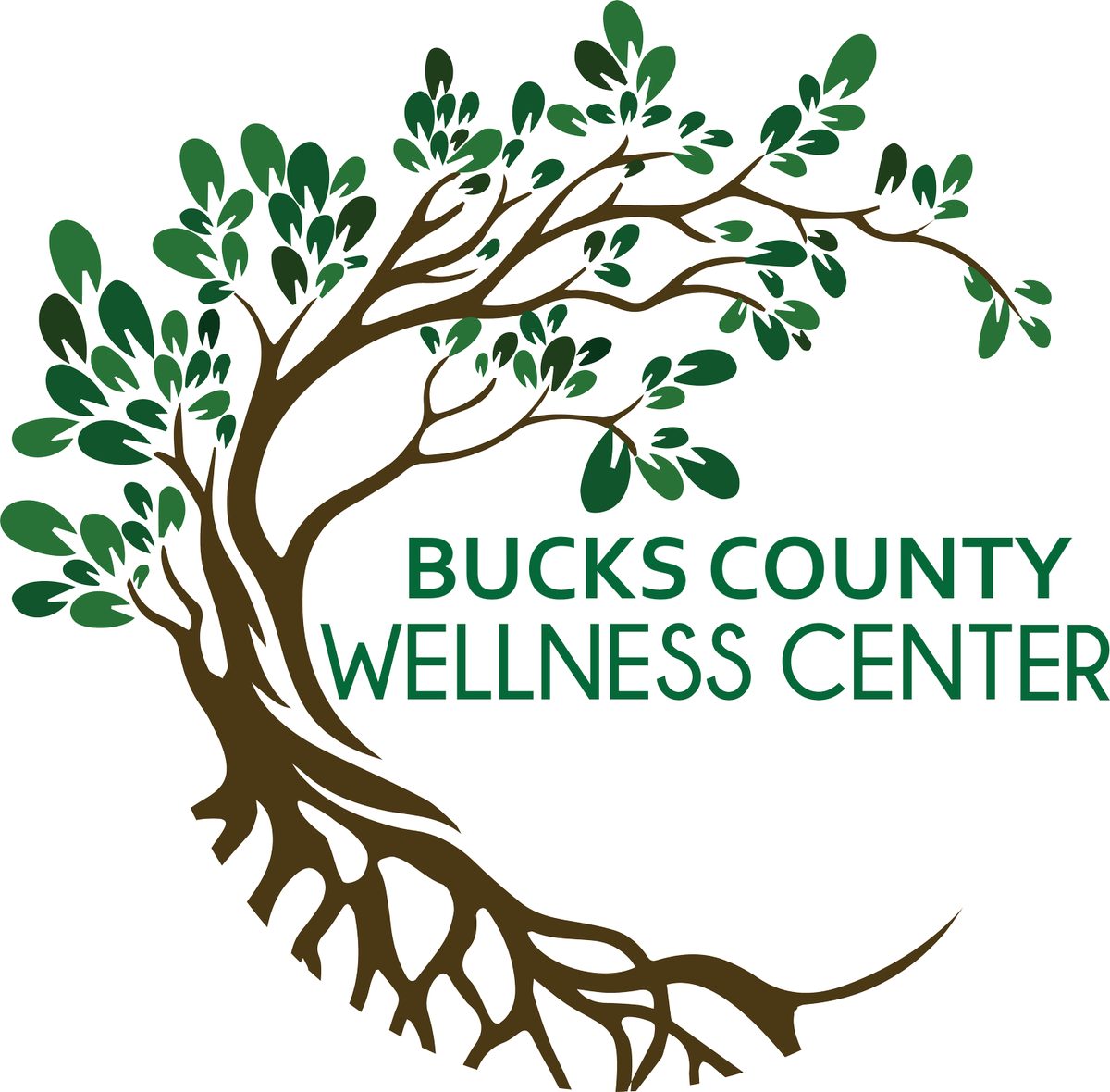 Bucks County Wellness Center med spa in New Britain, PA